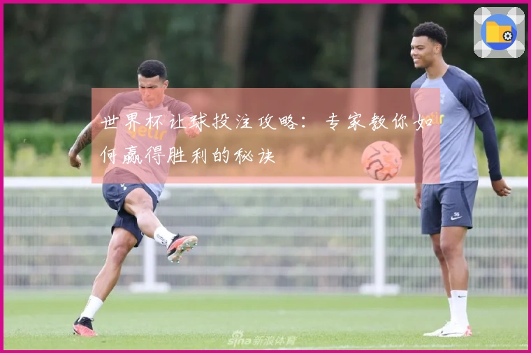 世界杯让球投注攻略:专家教你如何赢得胜利的秘诀