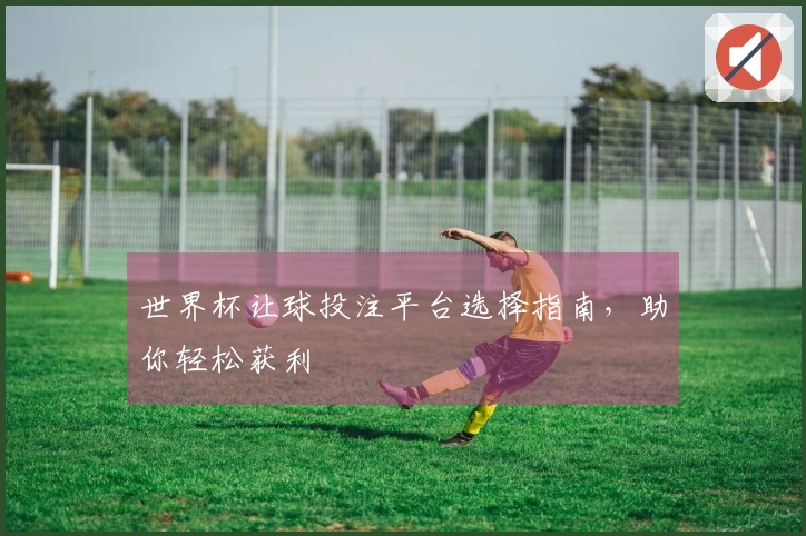 世界杯让球投注平台选择指南，助你轻松获利
