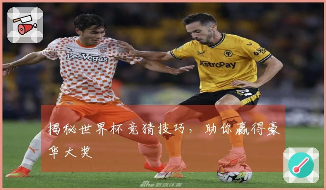 揭秘世界杯竞猜技巧，助你赢得豪华大奖