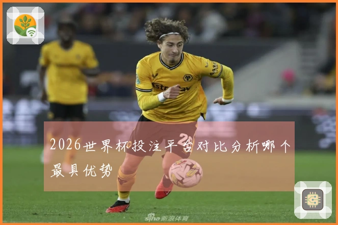 2026世界杯投注平台对比分析哪个最具优势